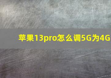 苹果13pro怎么调5G为4G