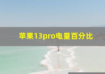 苹果13pro电量百分比