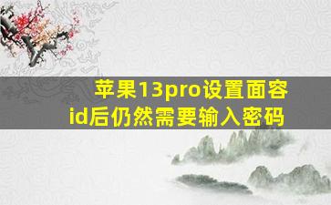 苹果13pro设置面容id后仍然需要输入密码