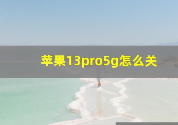 苹果13pro5g怎么关