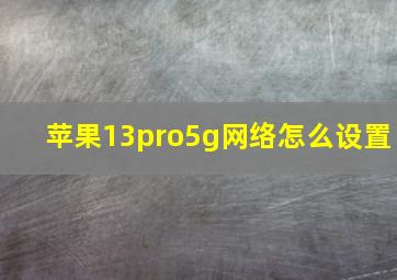 苹果13pro5g网络怎么设置