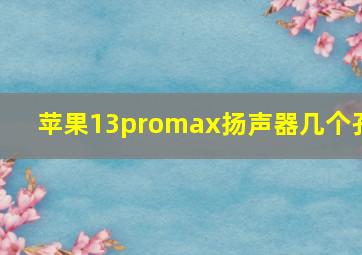 苹果13promax扬声器几个孔