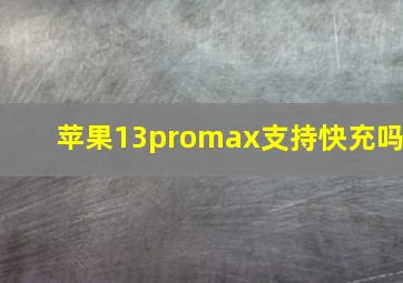 苹果13promax支持快充吗