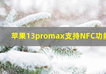 苹果13promax支持NFC功能吗