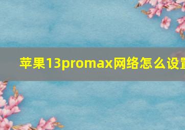 苹果13promax网络怎么设置