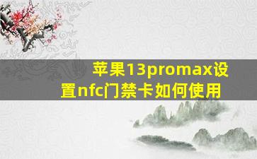 苹果13promax设置nfc门禁卡如何使用