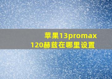 苹果13promax120赫兹在哪里设置