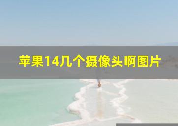 苹果14几个摄像头啊图片