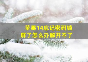 苹果14忘记密码锁屏了怎么办解开不了