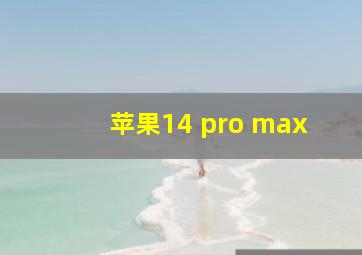 苹果14 pro max