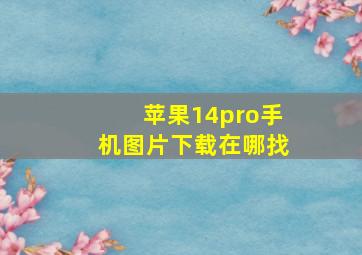 苹果14pro手机图片下载在哪找