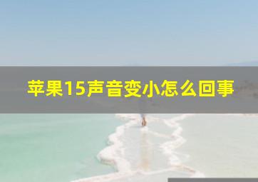 苹果15声音变小怎么回事