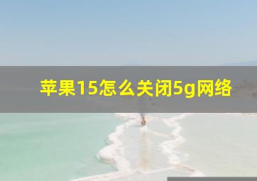 苹果15怎么关闭5g网络