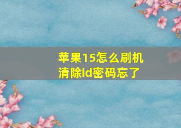 苹果15怎么刷机清除id密码忘了