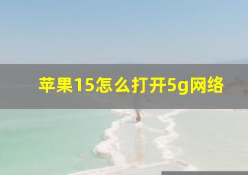 苹果15怎么打开5g网络