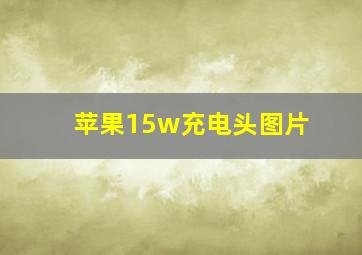 苹果15w充电头图片