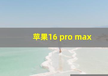 苹果16 pro max