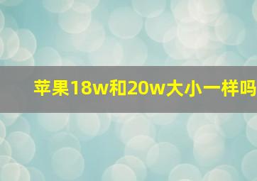 苹果18w和20w大小一样吗