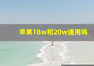 苹果18w和20w通用吗