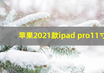 苹果2021款ipad pro11寸