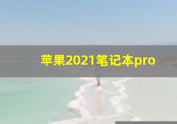 苹果2021笔记本pro