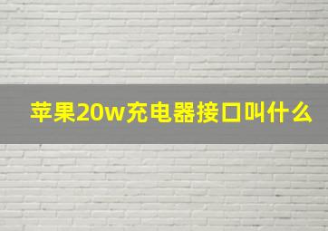 苹果20w充电器接口叫什么