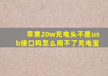 苹果20w充电头不是usb接口吗怎么用不了充电宝