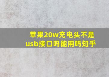 苹果20w充电头不是usb接口吗能用吗知乎