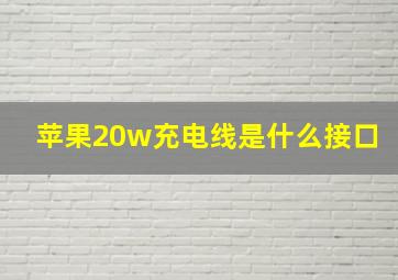 苹果20w充电线是什么接口