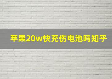 苹果20w快充伤电池吗知乎