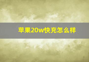 苹果20w快充怎么样