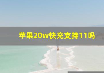 苹果20w快充支持11吗