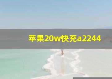 苹果20w快充a2244