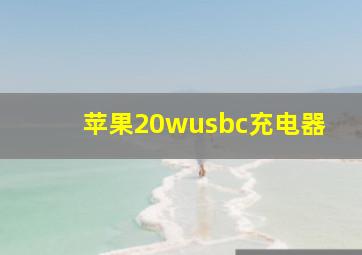 苹果20wusbc充电器