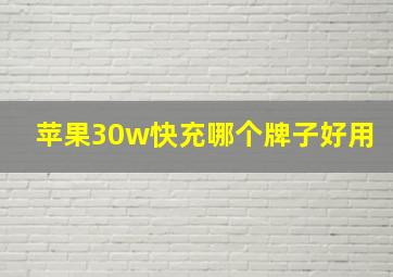 苹果30w快充哪个牌子好用