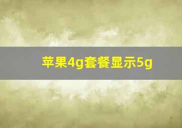 苹果4g套餐显示5g