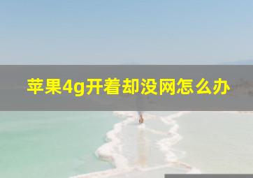 苹果4g开着却没网怎么办