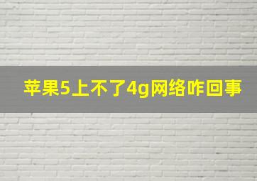 苹果5上不了4g网络咋回事