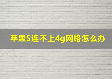 苹果5连不上4g网络怎么办