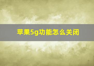 苹果5g功能怎么关闭