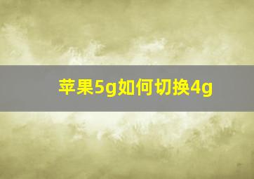 苹果5g如何切换4g