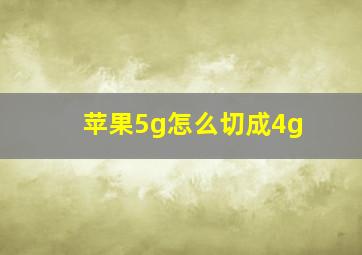 苹果5g怎么切成4g