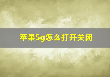 苹果5g怎么打开关闭