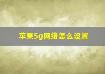 苹果5g网络怎么设置