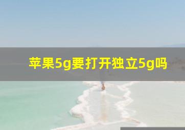 苹果5g要打开独立5g吗