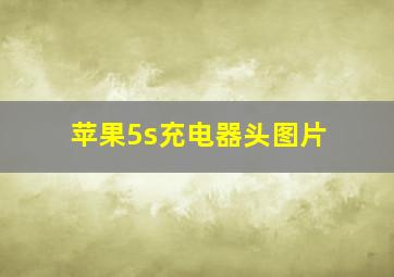 苹果5s充电器头图片