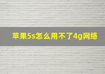 苹果5s怎么用不了4g网络