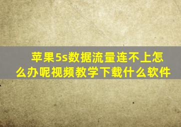 苹果5s数据流量连不上怎么办呢视频教学下载什么软件