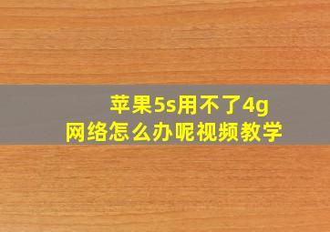 苹果5s用不了4g网络怎么办呢视频教学