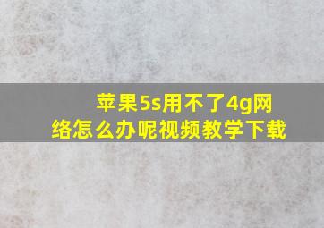 苹果5s用不了4g网络怎么办呢视频教学下载